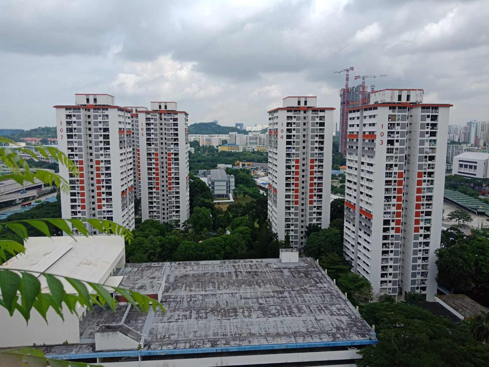 A Brief History of Spottiswoode Park Estate