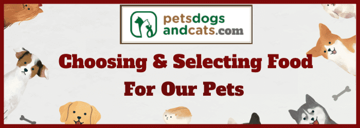 Choosing And Selecting The Best Food For Our Pets