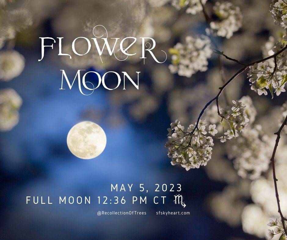 Flower Moon May 2023