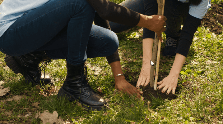 Great White vs DYNOMYCO vs HUMKO for Mycorrhizal Inoculant for Trees