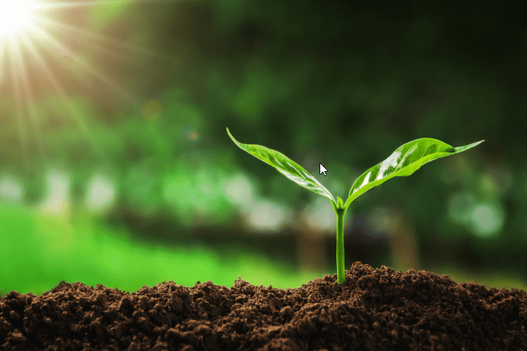 1:100 Dilution Protocol: Proven Baseline for Humic Acid Applications