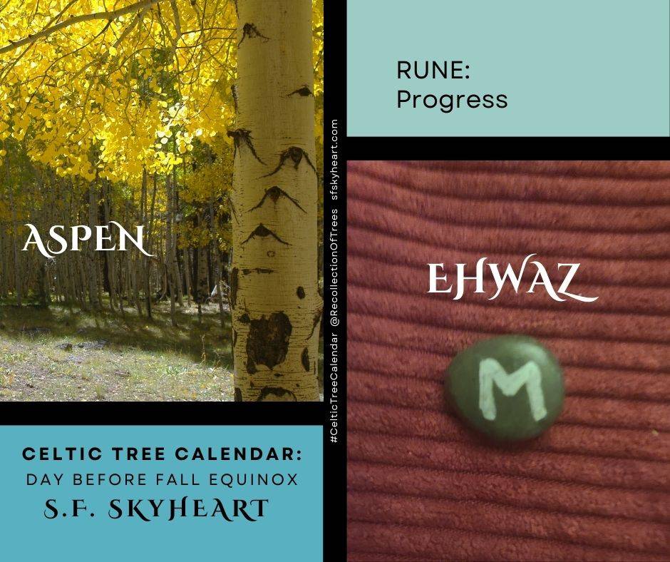 Aspen: Ehwaz