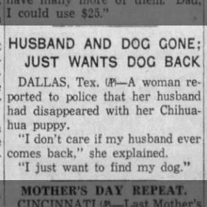 Husband and Dog Gone: Just Wants Dog Back