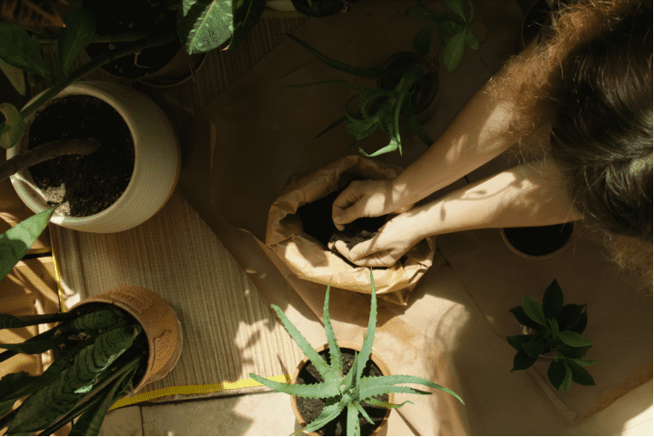 Water Retention Gel 2026: EU Regulation Pushing Biodegradable Forms