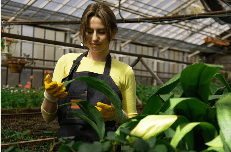 PNC Nitro vs. Conventional Urea: Dual Nitrogen Form Advantage Explained