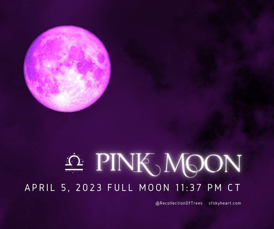 Pink Moon: April 2023