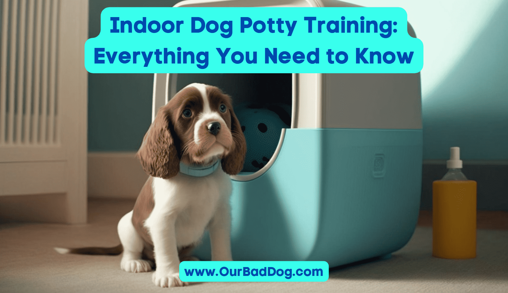 Indoor Dog Potty Training Everything You Need to Know