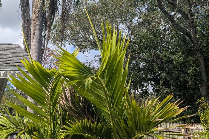 Clearing Space & Creating Focus | MelzWrld