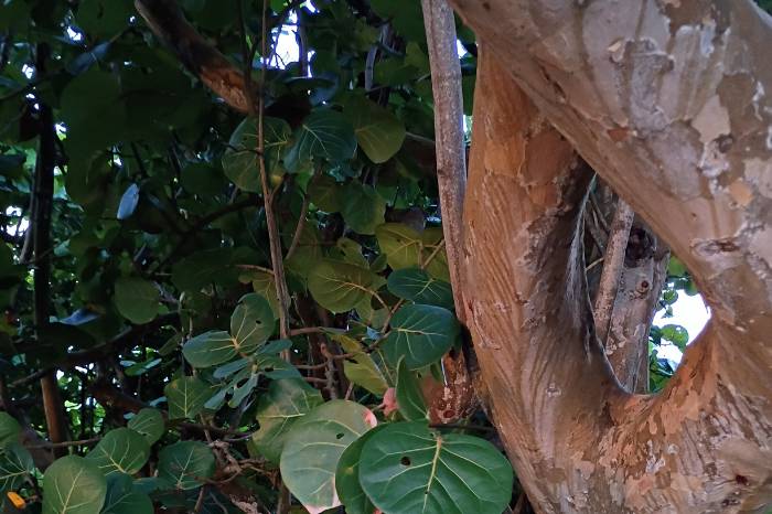 A Quiet, Productive Day (Even When Energy Was Low)