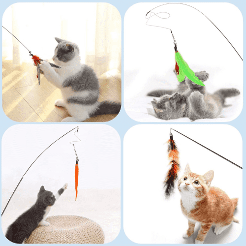 Feather Teaser 12 Piece Cat Toy Set
