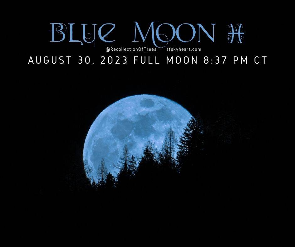 Blue Moon: August 2023