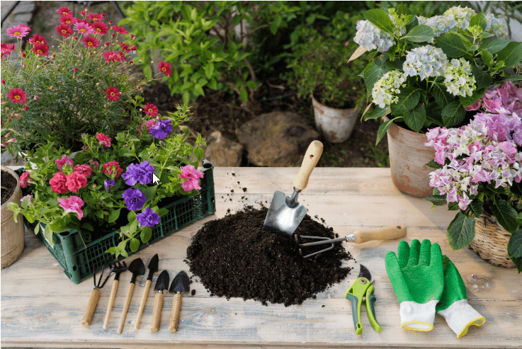 30-Day Garden Setup: Week-by-Week Physical Plan for Low-Maintenance Yards
