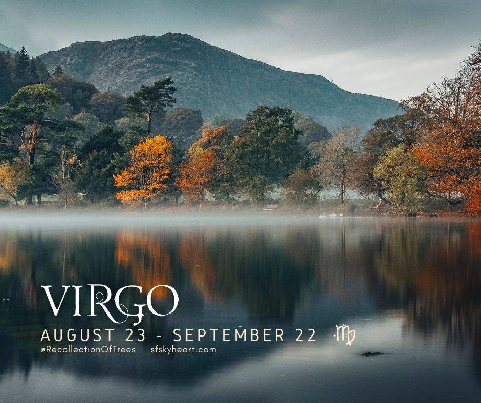 Virgo 2023