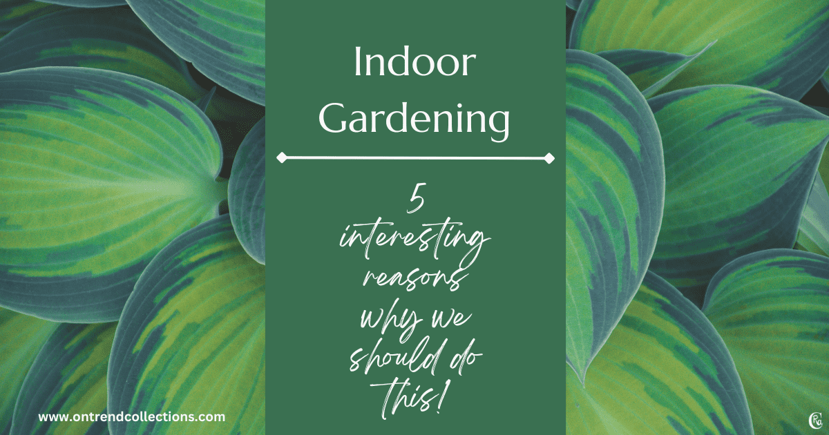 5 Interesting Benefits of Indoor Gardening
