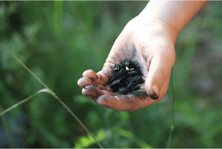 Why Biochar: Decades-Long Soil Stability Buffer for Gardening Mistakes