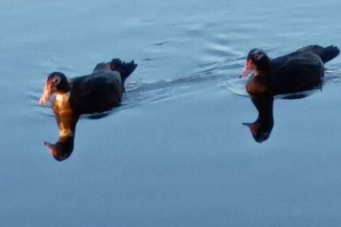 From Upload to Published: Closing the Loop on 18 Pieces of Digital Content