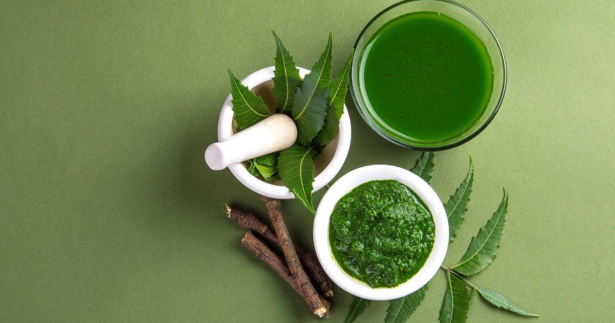 10 Best Neem Oil for Plants in India Benefits and How to Use It 10 Best Neem Oil for Plants in India Benefits and How to Use It
